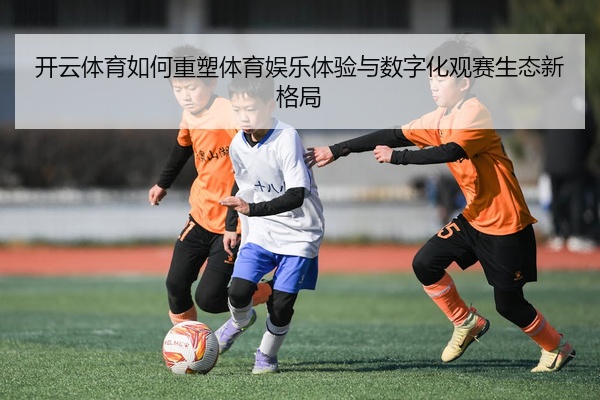 开云体育如何重塑体育娱乐体验与数字化观赛生态新格局